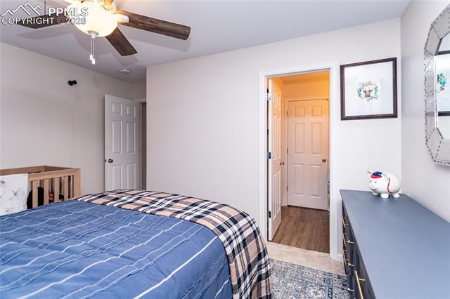MLS Image for 7734  Antelope Meadows  ,Peyton, Colorado
