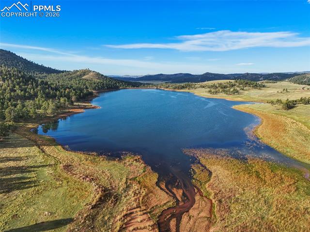MLS Image for 224  Lakeview Forest  ,Florissant, Colorado