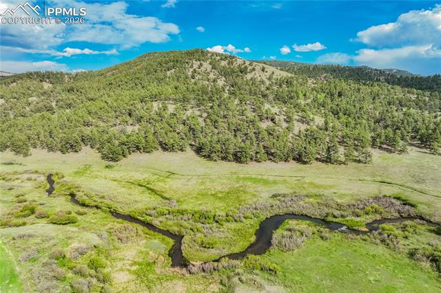 MLS Image for 224  Lakeview Forest  ,Florissant, Colorado
