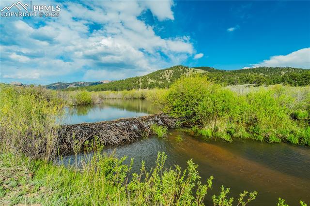 MLS Image for 224  Lakeview Forest  ,Florissant, Colorado