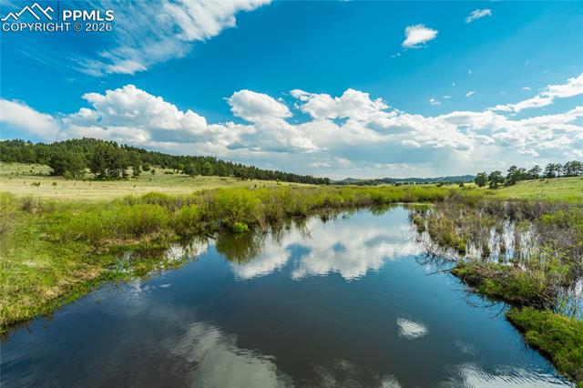 MLS Image for 224  Lakeview Forest  ,Florissant, Colorado