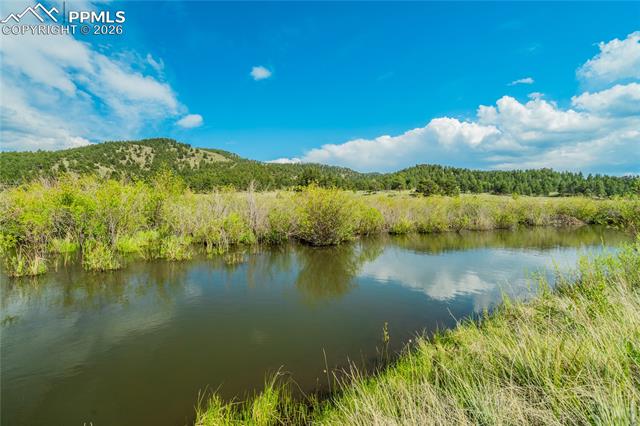 MLS Image for 224  Lakeview Forest  ,Florissant, Colorado
