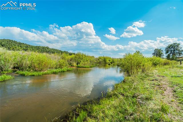 MLS Image for 224  Lakeview Forest  ,Florissant, Colorado