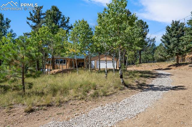 MLS Image for 269  Evergreen  ,Woodland Park, Colorado