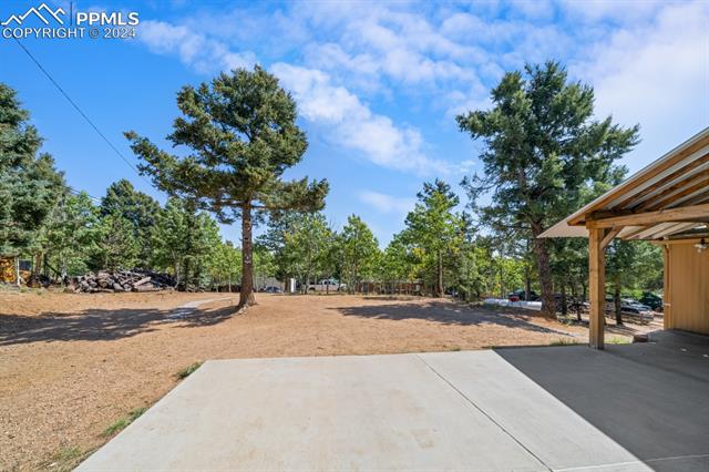 MLS Image for 269  Evergreen  ,Woodland Park, Colorado