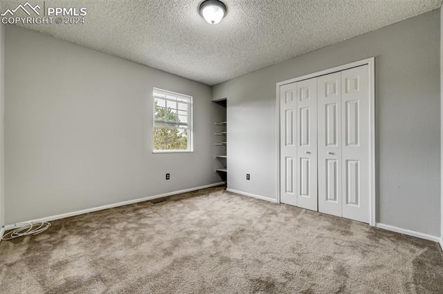 MLS Image for 755  Grey Eagle  ,Colorado Springs, Colorado