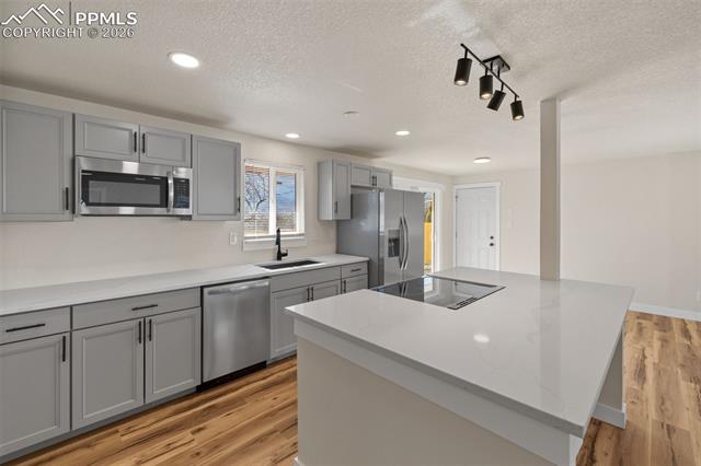 MLS Image for 2905  Garden Hill  ,Colorado Springs, Colorado