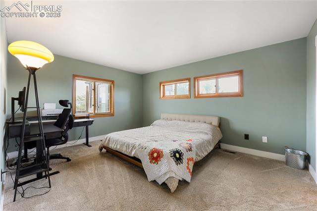 MLS Image for 1721  Wildhorn  ,Florissant, Colorado