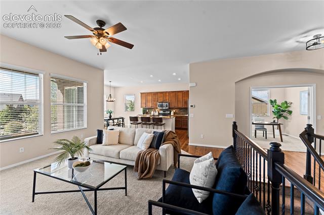 MLS Image for 6167  Leon Young  ,Colorado Springs, Colorado