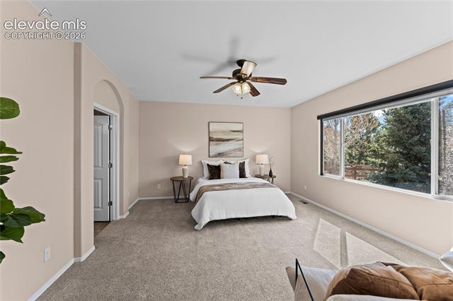 MLS Image for 6167  Leon Young  ,Colorado Springs, Colorado