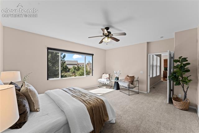 MLS Image for 6167  Leon Young  ,Colorado Springs, Colorado