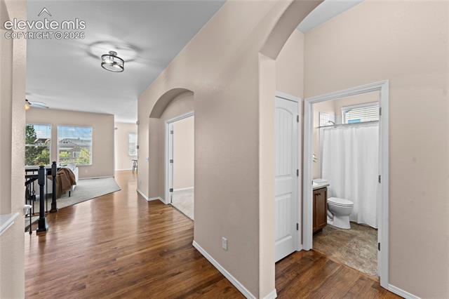 MLS Image for 6167  Leon Young  ,Colorado Springs, Colorado