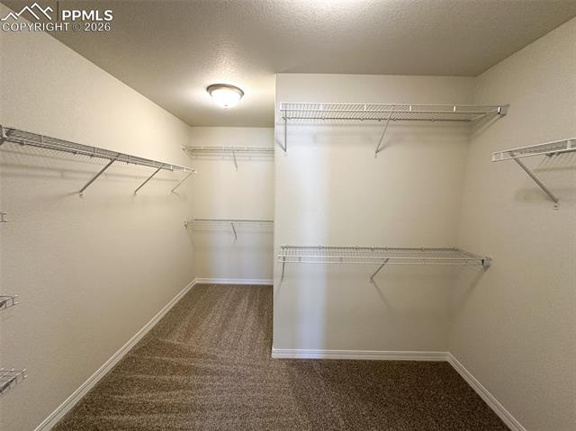 MLS Image for 8259  Henzlee  ,Colorado Springs, Colorado