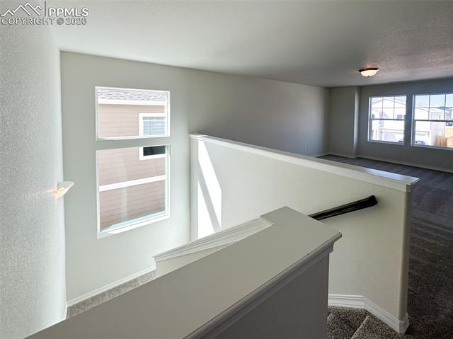 MLS Image for 8259  Henzlee  ,Colorado Springs, Colorado