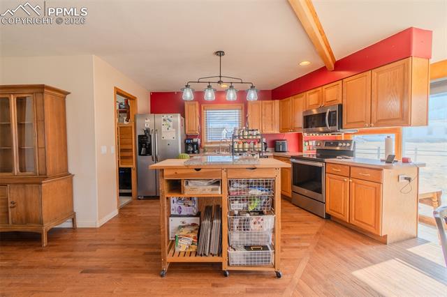 MLS Image for 18  Sir Richard  ,Divide, Colorado