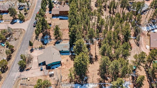 MLS Image for 1250  Chippewa  ,Woodland Park, Colorado