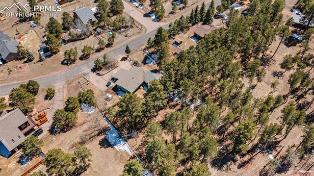 MLS Image for 1250  Chippewa  ,Woodland Park, Colorado