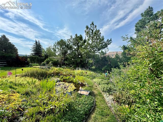 MLS Image for 61  Misty Creek  ,Monument, Colorado