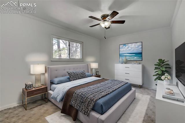MLS Image for 2518  Royalty  ,Colorado Springs, Colorado