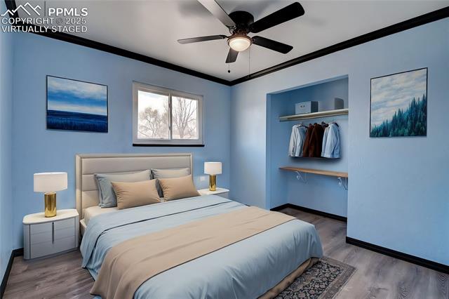 MLS Image for 2518  Royalty  ,Colorado Springs, Colorado