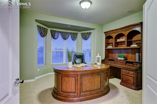 MLS Image for 19679  Glen Shadows  ,Colorado Springs, Colorado