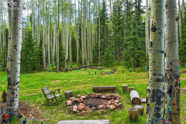 MLS Image for 10955  Grenadier  ,Woodland Park, Colorado