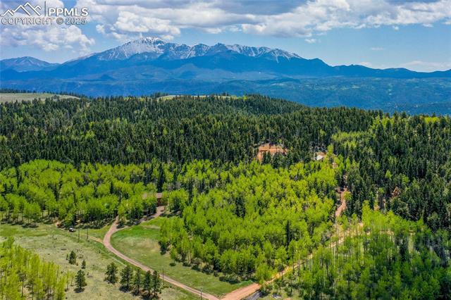 MLS Image for 10955  Grenadier  ,Woodland Park, Colorado