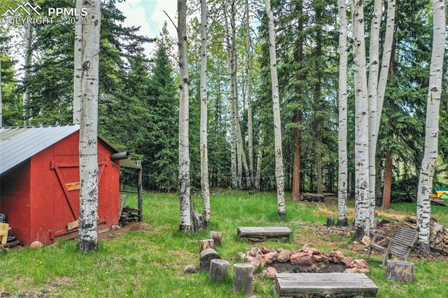 MLS Image for 10955  Grenadier  ,Woodland Park, Colorado
