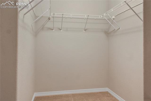 MLS Image for 6773  Galpin  ,Colorado Springs, Colorado