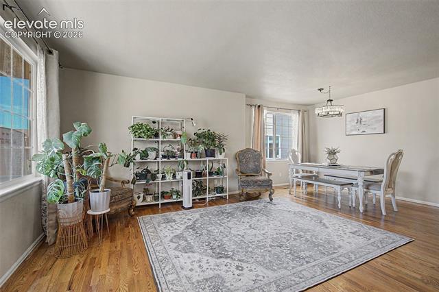 MLS Image for 7848  Irish  ,Colorado Springs, Colorado