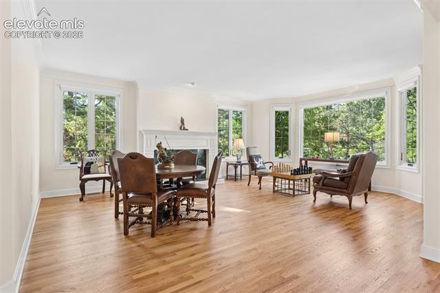 MLS Image for 1650  Old Stage  ,Colorado Springs, Colorado