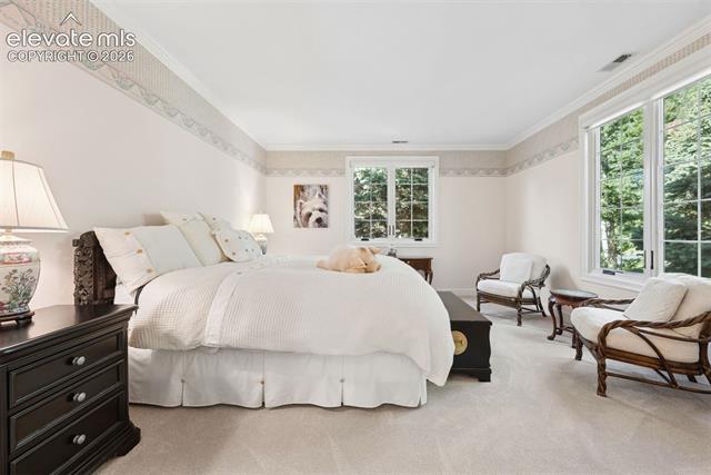 MLS Image for 1650  Old Stage  ,Colorado Springs, Colorado