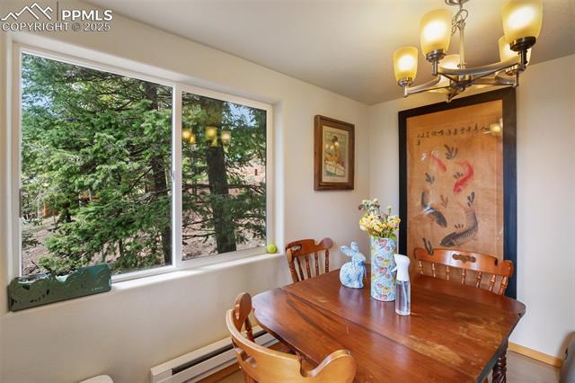 MLS Image for 501  Wakanda  ,Woodland Park, Colorado