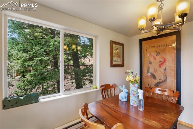 MLS Image for 501  Wakanda  ,Woodland Park, Colorado