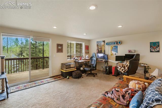 MLS Image for 501  Wakanda  ,Woodland Park, Colorado