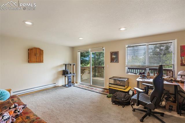 MLS Image for 501  Wakanda  ,Woodland Park, Colorado