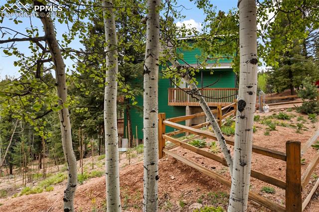 MLS Image for 501  Wakanda  ,Woodland Park, Colorado