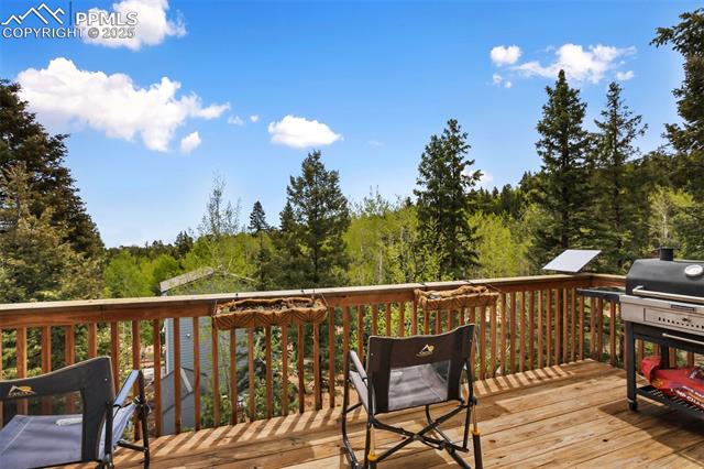 MLS Image for 501  Wakanda  ,Woodland Park, Colorado