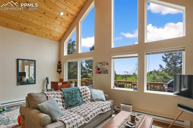 MLS Image for 501  Wakanda  ,Woodland Park, Colorado