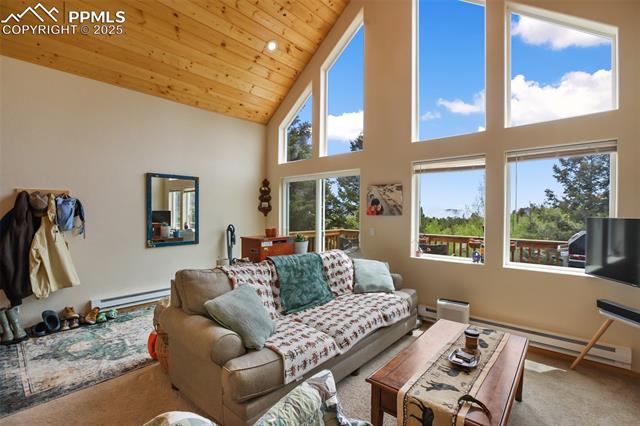 MLS Image for 501  Wakanda  ,Woodland Park, Colorado
