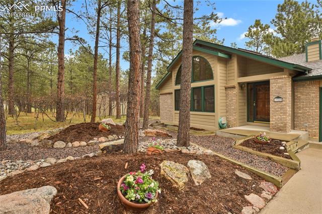 MLS Image for 17520  Shiloh Pines  ,Monument, Colorado