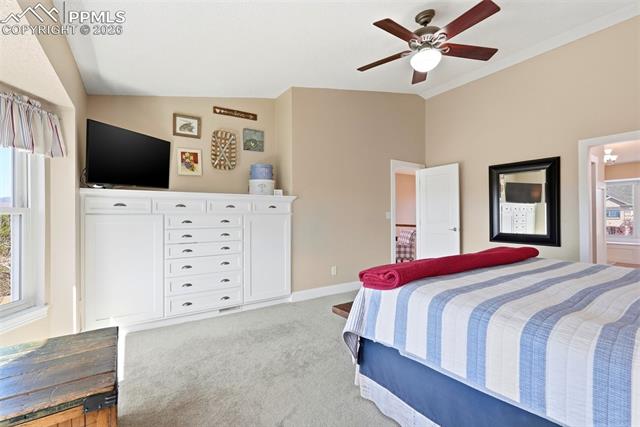 MLS Image for 3370  Windjammer  ,Colorado Springs, Colorado