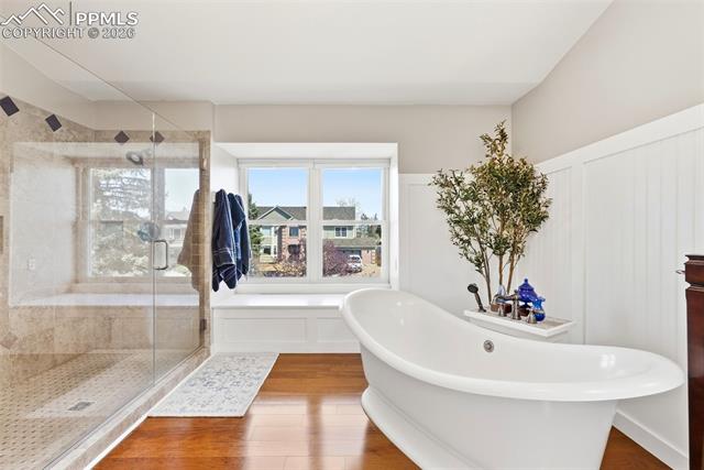MLS Image for 3370  Windjammer  ,Colorado Springs, Colorado