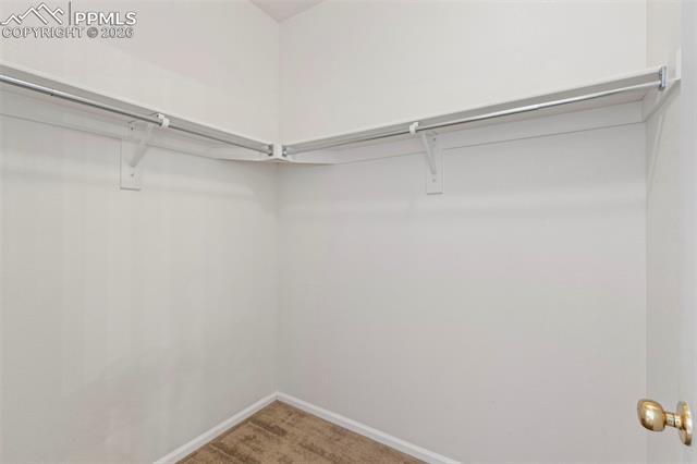 MLS Image for 4014  Pioneer Creek  ,Colorado Springs, Colorado
