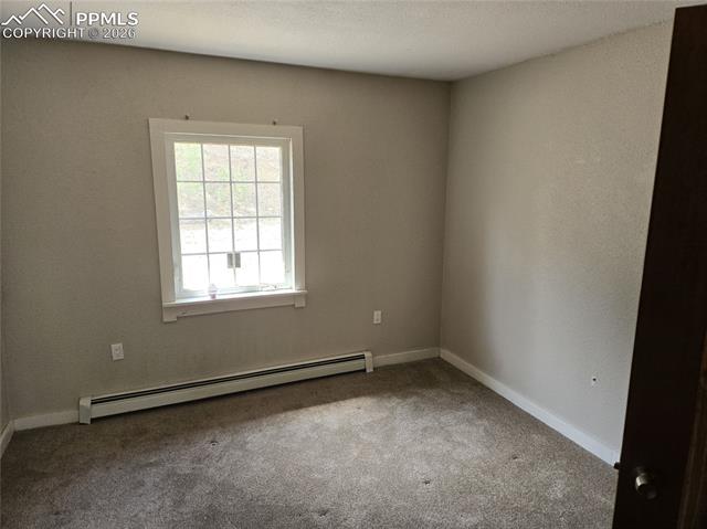 MLS Image for 875  Obsidian  ,Florissant, Colorado