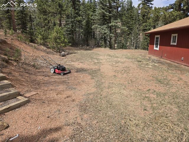MLS Image for 875  Obsidian  ,Florissant, Colorado