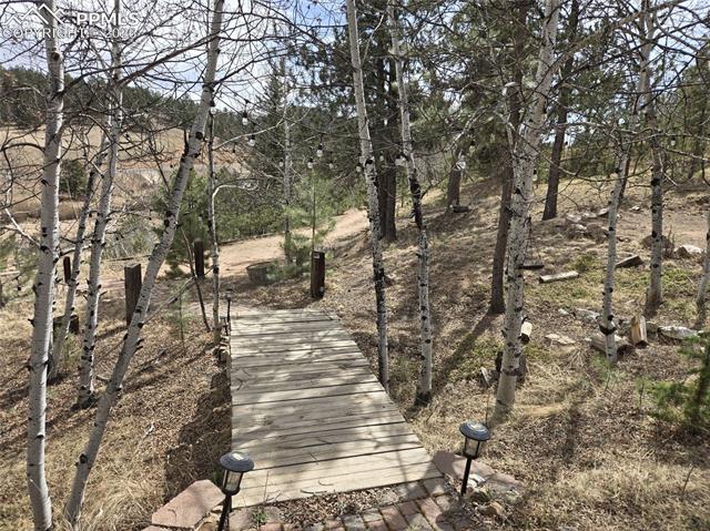 MLS Image for 875  Obsidian  ,Florissant, Colorado