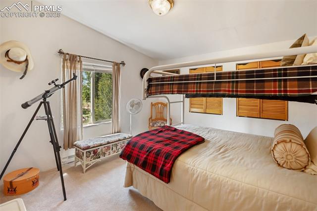 MLS Image for 936  Matterhorn  ,Florissant, Colorado