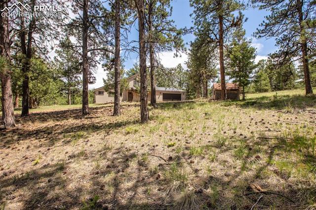 MLS Image for 936  Matterhorn  ,Florissant, Colorado