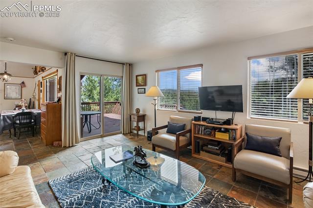 MLS Image for 936  Matterhorn  ,Florissant, Colorado